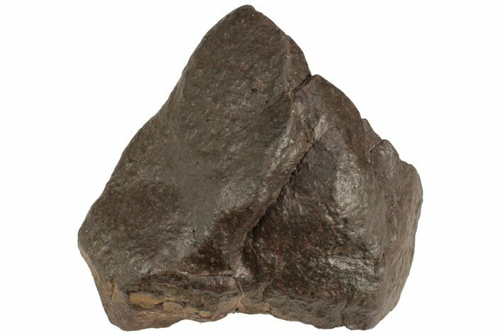 Chondrite Meteorite ( g) - Western Sahara Desert #222360